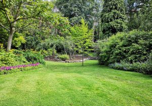 Optimiser l'expérience du jardin à Precy