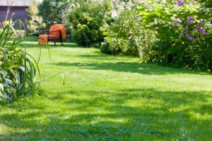 travaux jardin et paysage Precy